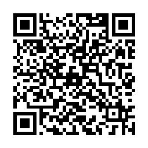 万界商盟从很早以前就展开了对黑风界的渗透工作二维码生成