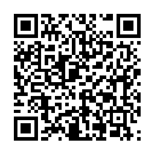 万空门的禁地一定要掌控在手中……北星宗的崛起二维码生成