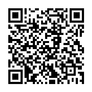 万能魔方才算是将它的真面目展现在了楚旬等人的面前二维码生成