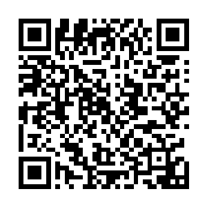 万藏海领导下的地球理事会当局要求全体民众都稍安勿躁二维码生成