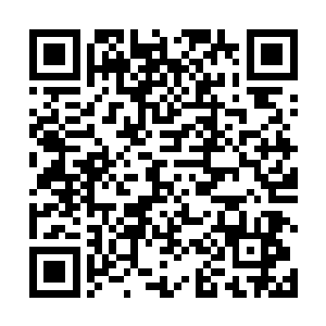 万蛇之母与审判之眼两位至尊之间的关系似乎非同一般二维码生成