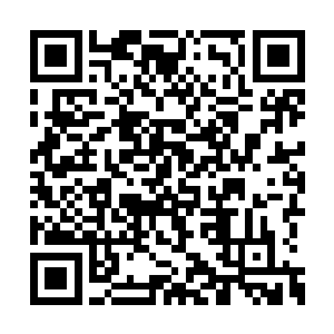 万蛇之母好歹也是八级的存在……相信她吧……二维码生成