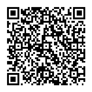 三下两下清理干净捏着一根长约十五公分只有筷子的三分之一粗细的银白色事物递给江帆道二维码生成