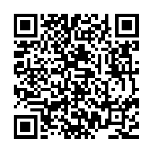 三个主宰早就猜到东皇主宰会在龙神界就传授给韩风九转神皇诀二维码生成