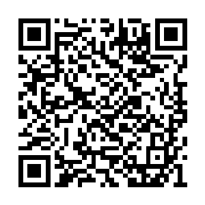 三个人就这样三言两语地就把苍茫大陆给瓜分了二维码生成