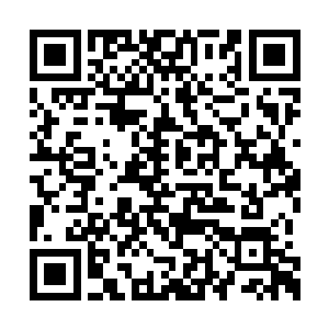 三个人打个眼色便是迅速的消失在了天道的周围二维码生成