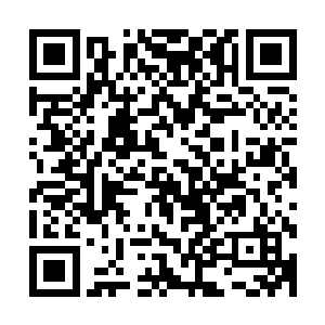 三个圣级九层后期巅峰大修士联手是否能够杀死许紫烟不重要二维码生成