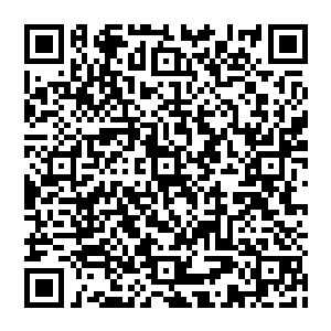 三个圣级大圆满的混沌兽和两个域外天魔的离去让围攻第四仙城的混沌兽和域外天魔暂时停了下来二维码生成