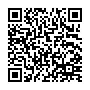 三个大人站在一边目送范子衿把五个孩子送进祠堂里罚跪二维码生成