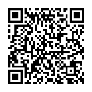 三个大小不一的万年灵药就出现在小松鼠的旁边二维码生成