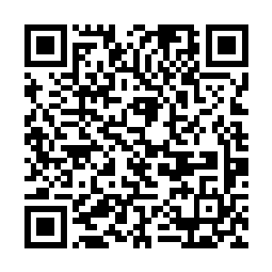 三个帝君高手就这样如此憋屈的死在了龙傲天的手中二维码生成