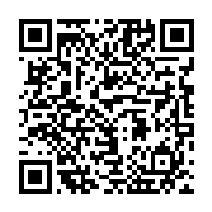 三个时辰后就要抵达灵渊城了不管是不是凤鸾特意引来的二维码生成