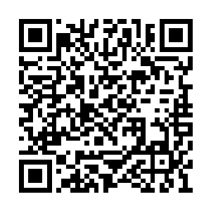 三个月他怎么放心让江小奴这个笨丫头独自在家二维码生成