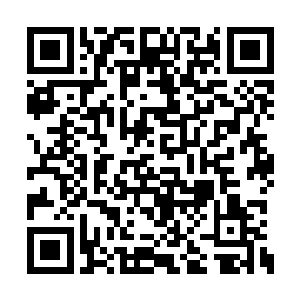 三个月后我会分出一道元神之力随同你一起过去二维码生成