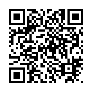 三个机器人仍然毫无异议的决定干了二维码生成