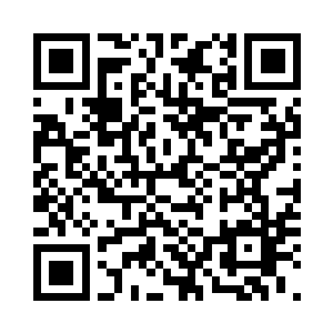 三个结丹期的修士原本已经不用吃饭二维码生成
