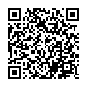 三个身穿铠甲的元婴正如同正常人一般端坐在那里修炼着二维码生成
