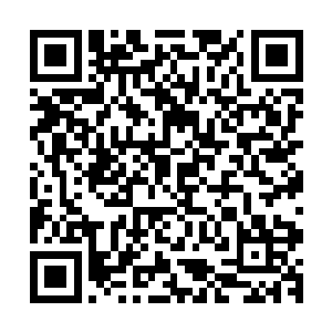 三个骑士中带队的骑士在张铁和白素仙的身上认真打量了几眼二维码生成
