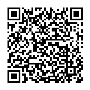 三井宪马上带着自己的十几个手下也以游客的身份来到了皮克王国二维码生成