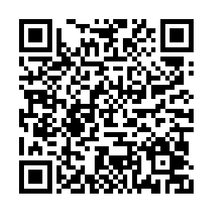 三井胜田还有其他三位马仔也全部定在原地不动二维码生成