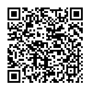 三人也就是吃了三天之后贝海弄出的小宠物们就己经正式的宣告灭绝了二维码生成