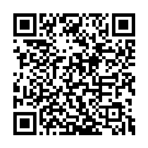 三人又在为围猎那只玄黄兽的具体行动以及步骤二维码生成