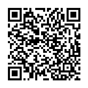 三人在一大群的使节和贴身侍卫的陪护之下浩浩荡荡地来访曦国二维码生成