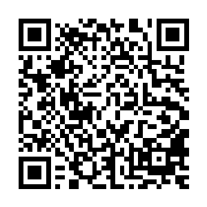 三人很快穿过了这座本就不大的宅子来到了后院紧靠崖壁的一面二维码生成