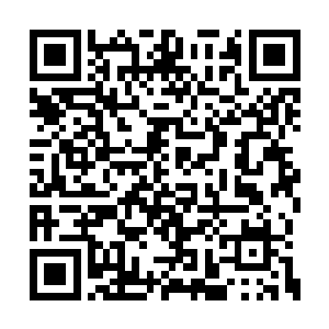 三人的面前放着李自新入职费氏庄园的确切资料二维码生成