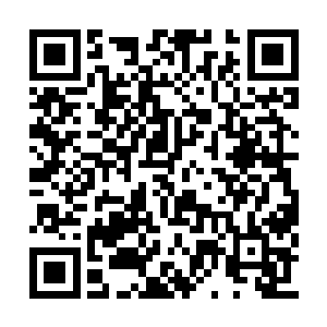 三人脸上那一脸茫然的神色顿时消散的干干净净二维码生成