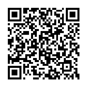 三人跟着规规矩矩排队的仙兽队伍走入了大渡口二维码生成