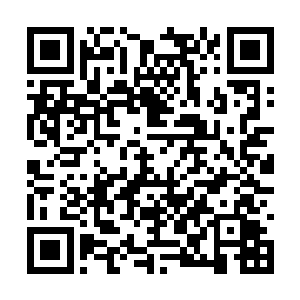 三人随便出了筑地市场找了一家普通的路边小面馆二维码生成