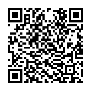 三代吸血鬼实力保守估计是四代吸血鬼的十倍以上二维码生成