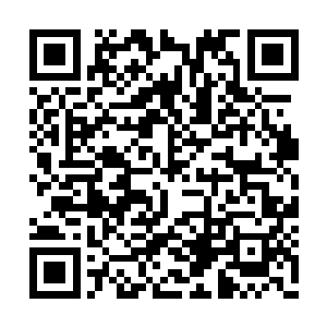 三位半步仙玄的学生的确是为了消耗叶莫的实力二维码生成