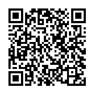 三位四劫的真仙在撞上我这三劫真仙时候恐惧的表情二维码生成