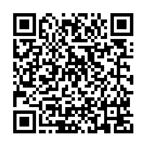 三位宗主和他们带来的修士都安排在客房内休息二维码生成