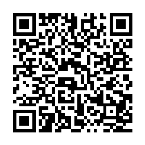 三儿现在就是刷完自己家的上半野区就立马去对面的上半野区刷二维码生成