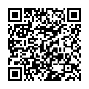 三儿这项技能反正在陈易清面前已经表演不下几十次了二维码生成