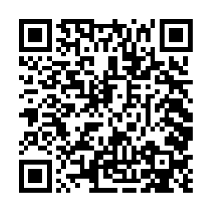 三兄弟一直无往不利的爪子第一次遇到这么皮厚的敌人二维码生成