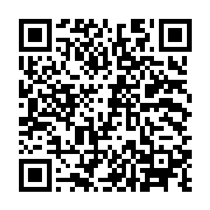 三公主从未见过倨傲冰冷的二长老如此人性化的一面二维码生成