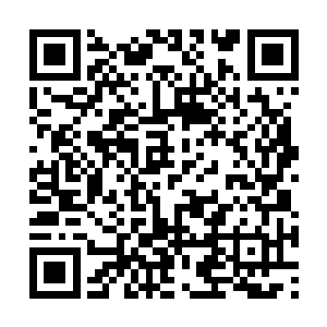 三十六个守护者的血液顺着那一道道光融合在一起二维码生成