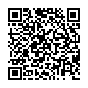 三十六洞天福地的一位地仙突然指着前面有些惊喜的喊道二维码生成
