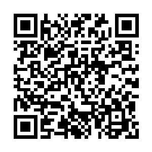 三十六洞天福地的一位峰主突然放声大笑了起来二维码生成