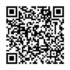 三十六洞天福地的这些尊者们此刻却是一个个脸上带着笑容二维码生成