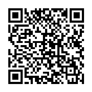 三十枚笼罩在紫色光晕中的仙元丹从托盘中飞射而出二维码生成