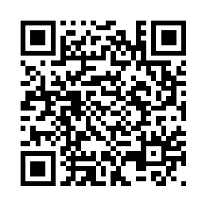 三千多只宠姬产生的量简直难以计数二维码生成