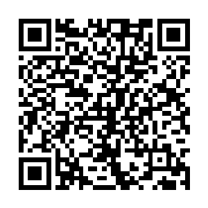 三千多对恶魔就这么在滔滔血海中展开了疯狂运动二维码生成