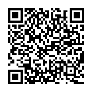 三只体型身段不长反缩的沙罗獭现在看上去竟觉得高贵典雅二维码生成