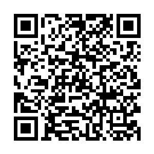 三只小狐狸在中间排成了一字长蛇阵向着抛骨地走去二维码生成