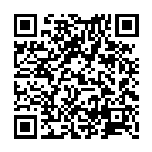 三只湾虾同时高高抬起了自己的右边的虾钳……二维码生成